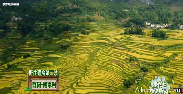 四位鲜肉明星初到山村，被当地方言难倒，幸好有汪涵在