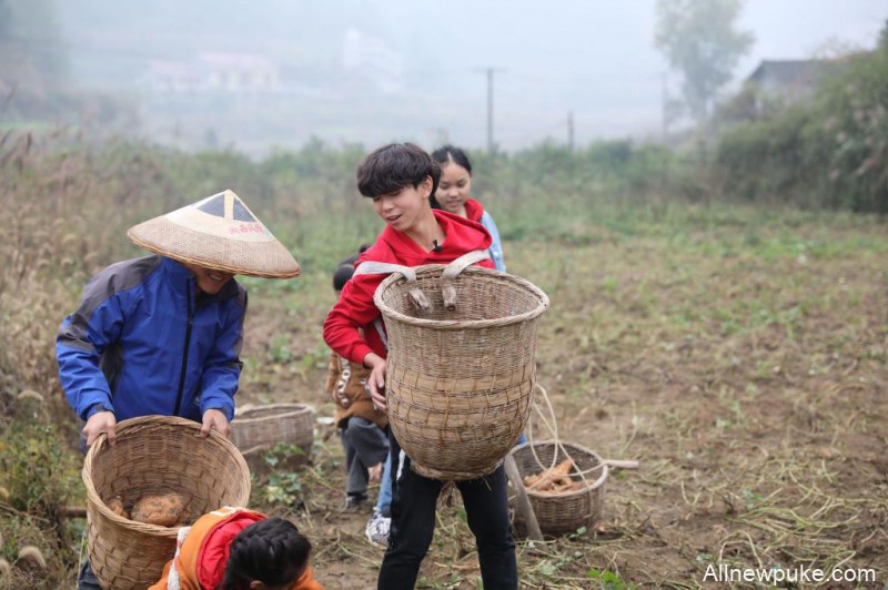 《少年旅行记》汤晶锦和小伙伴们带你走进农村 了解乡间生活