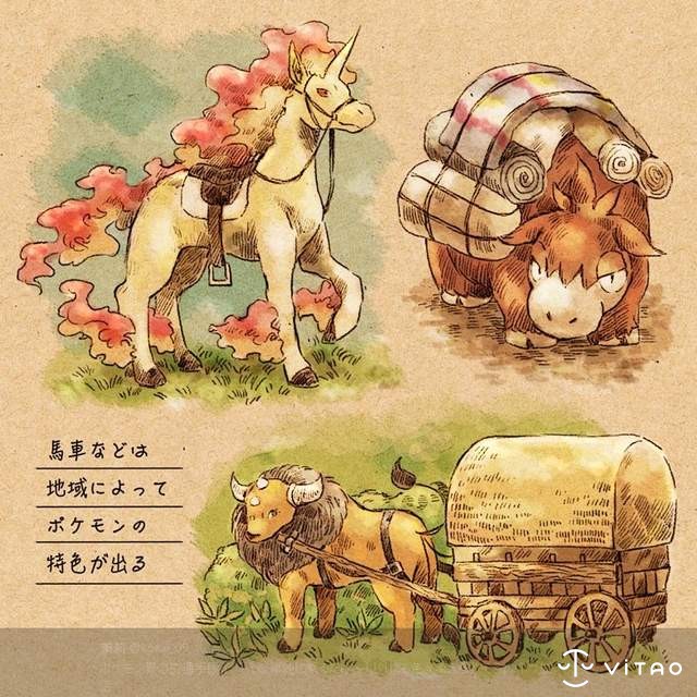 与宝可梦的一日生活 不同的环境不一样的生活令人向往