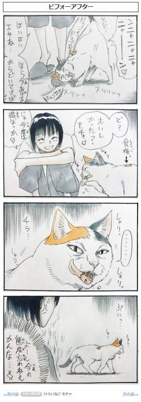 猫的调皮行为四格漫画 当做气垫床单弹来弹去