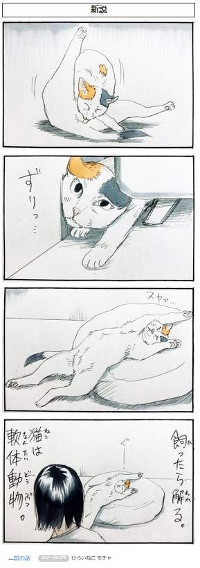 猫的调皮行为四格漫画 当做气垫床单弹来弹去