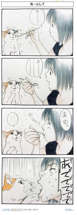 猫的调皮行为四格漫画 当做气垫床单弹来弹去