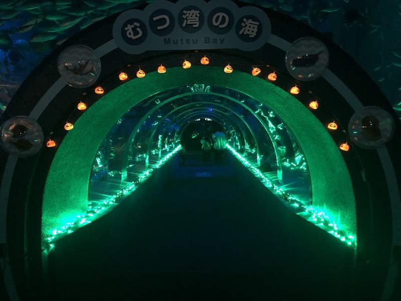 日本青森浅虫水族馆饲育员“失踪” 食人鱼水槽中被发现
