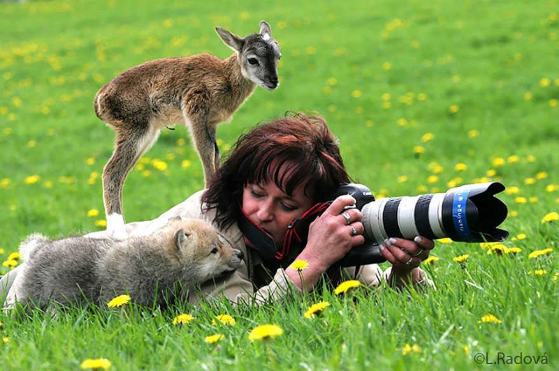 二十二张令人不可思议暖心照片 人与动物的故事治愈人心