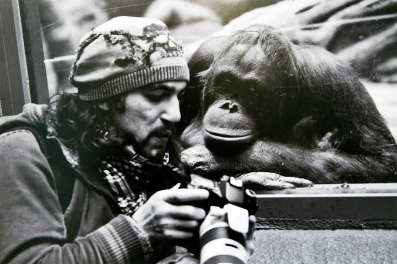 二十二张令人不可思议暖心照片 人与动物的故事治愈人心