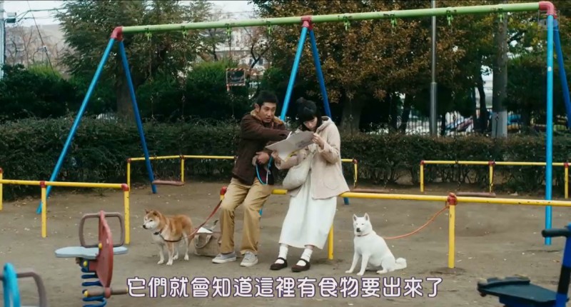 [柴犬公园][HD-MP4/1.7G][日语中字][720P][日本人的遛狗日常闲谈]