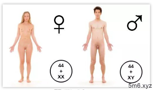 男人进入女人是啥感觉 男女对待性行为各有不同的想法