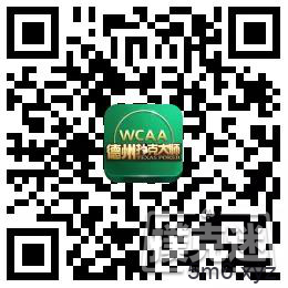 线上线下大不同？掌握这四点即可玩转绿色德扑大师春季赛！