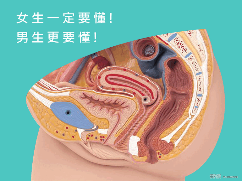 猫友一定要懂！图解女性G点与其他的高潮点！