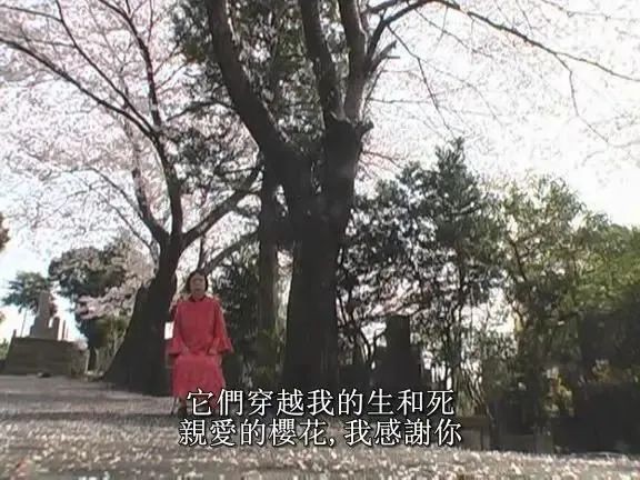 性解放Drama Queen草间弥生 性艺术家把爱无私传递