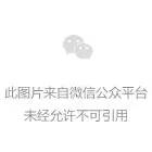 我的小学时代和人生启蒙老师
