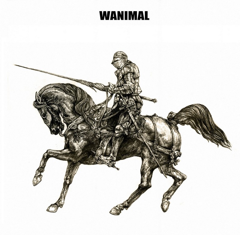 如何评价人体艺术摄影师“王动WANIMAL”的作品？