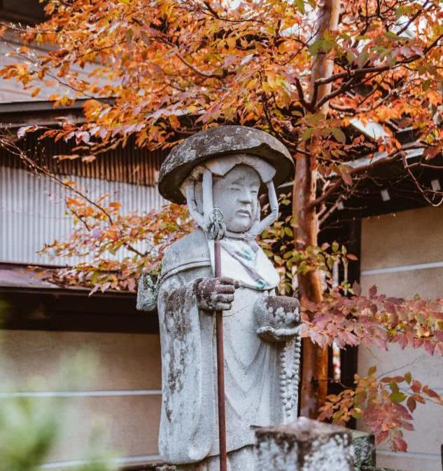 日本小京都的第一寺庙，寺中一棵1200年银杏树，寺庙靠它成了网红