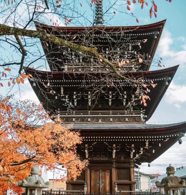 日本小京都的第一寺庙，寺中一棵1200年银杏树，寺庙靠它成了网红