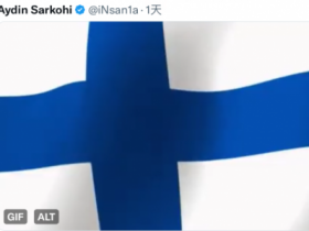 【蜗牛电竞】iNSaNiA推特发布芬兰国旗 疑似暗示新队员国籍