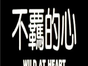 【蜗牛扑克】[不羁的心][720P][DVD-MKV/1.36G][国语/中英双字][香港情欲三级]
