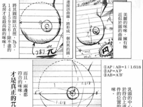 【蜗牛扑克】日本欧派函数对抗大赛 用数学分析女人性感美胸