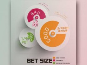 什么才是最佳的下注尺度?