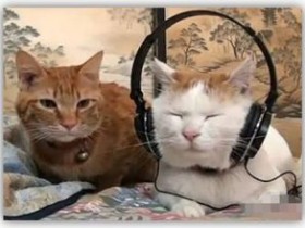 牌桌上令人讨厌的7大恶习,哪个你最不能忍