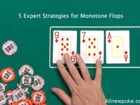 蜗牛扑克：单色翻牌面的五个专家级策略