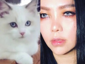 蜗牛扑克：张惠妹晒撞脸猫咪照 自侃：是同个化妆师吗？