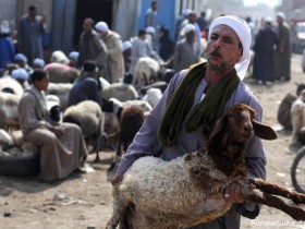 【蜗牛扑克】阿拉伯人为什么喜欢日羊 他们是真正的穆斯林吗