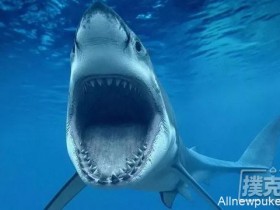 【蜗牛扑克】7大特征告诉你紧凶玩家也能是鱼
