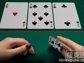 【蜗牛扑克】扑克成功所需要的技能