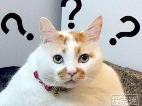 【蜗牛扑克】不要用结果判断一手牌打的对不对