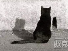 【蜗牛扑克】一个合格德扑玩家的自我修养