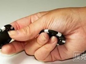 【蜗牛扑克】德州扑克策略-找出真正强牌所在