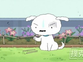 【蜗牛扑克】德州扑克小白常犯的四个错误,看看你中招没!