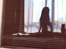 【蜗牛扑克】这动作好快,谁顶的住啊!