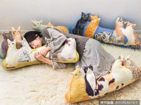 【蜗牛扑克】『圍繞貓抱枕』讓你體驗被貓咪簇擁的感覺