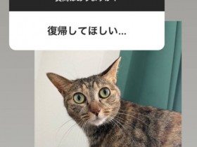 【EV扑克】这就是松下问童子删帐号的原因?让退而不休的女优最困扰的是⋯【EV扑克官网】