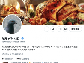 【EV扑克】G乳大型新人现身!那只「鳩」的真面目是?【EV扑克官网】