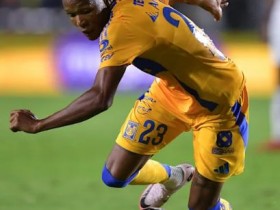 大发体育-路易斯·基尼奥内斯离开老虎队,大发助力你的致富之路!