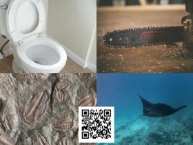 【EV扑克】扑克界谁的绰号最炸裂:电锯、魔鬼鱼、石化人、马桶?