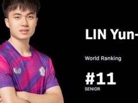 大发体育-日乒出局第一人,大发助力你的致富之路!