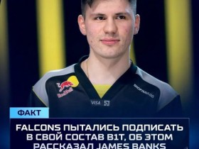 【蜗牛电竞】BanKs:Falcons曾重金求购b1t,遭NAVI拒绝【EV扑克小游戏官网】