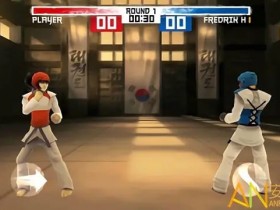 大发娱乐跆拳道游戏全新上线:巅峰格斗,燃爆你的竞技灵魂