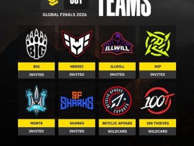 【蜗牛电竞】CCT公布全球总决赛参赛队伍名单,100T、BIG、NIP等队在列【EV扑克小游戏官网】