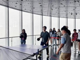 “上海银行”2026上海乒乓球嘉年华市级循环赛开赛:玉兰星辉奖杯亮相,云端球馆点亮申城,大发体育助力你的致富之路!