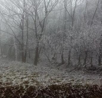 云南的雪