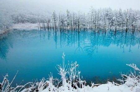 又一场认真的雪