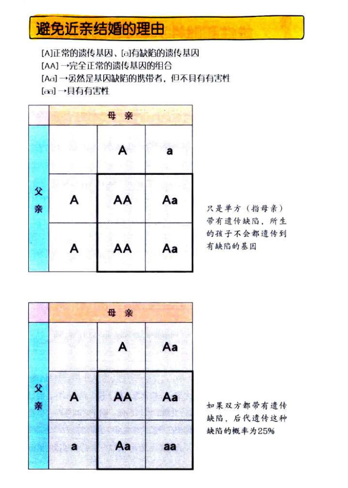 《身体密码》认识你的身体，性教育科普书籍