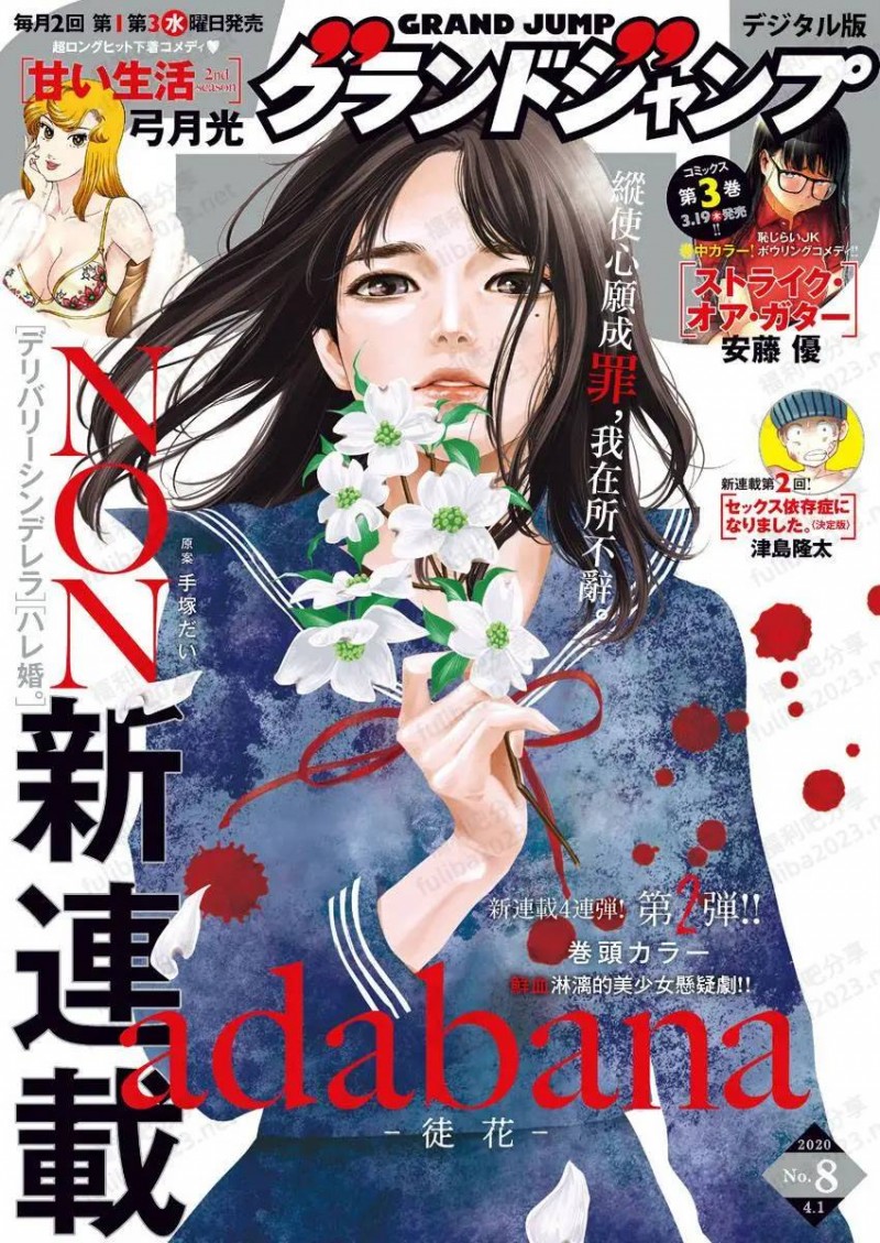 《有花无实》日本漫画家NON悬疑作品 少女杀人事件的真相是什么